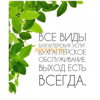 Бухгалтерские услуги Капитал Аудит - на портале auditkz.su