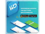 Электронная платежная система Wooppay - на портале auditkz.su