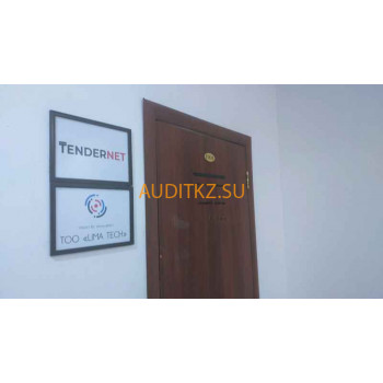 Финансовый консалтинг Tendernet. Kz - на портале auditkz.su