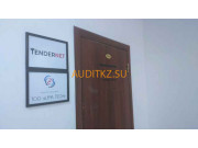 Финансовый консалтинг Tendernet. Kz - на портале auditkz.su